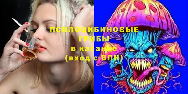 дурь Алзамай